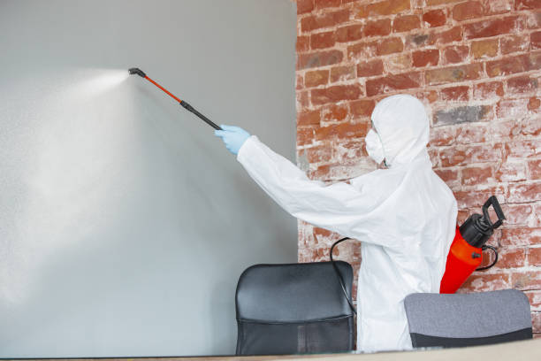 Best Mold Damage Restoration  in Kalama, WA