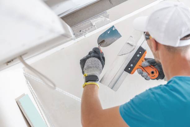 Best Mold-Related Health Consultation  in Kalama, WA
